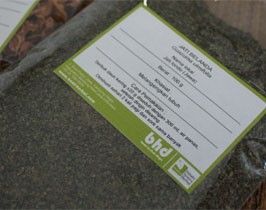 Ingin Langsing? Tanaman Herbal Ini Membantu