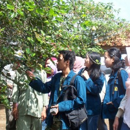 Kunjungan Manajemen PT ISH ke Mitra Tani Purwakarta