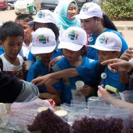 Junior Science Master 2011