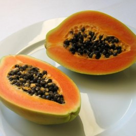 Papaya & Me, Pretty Lady