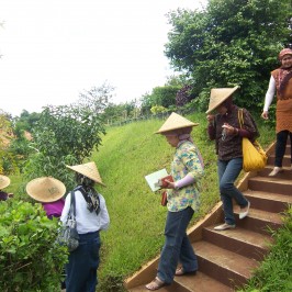Wisata Edukasi Herbal, Forsinet
