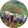 Kebun Koleksi