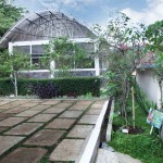Green House