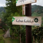 IMG_0674-R