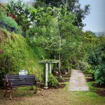 IMG_0767-R