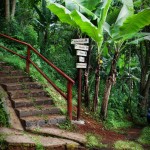 IMG_0782-R