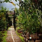 IMG_0804-R