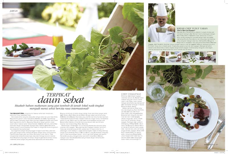 Pegagan BumiHerbal Majalah Dewi