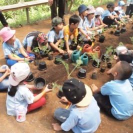 Wisata EduHerbal SD Semipalar