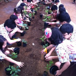Kunjungan EqualBright School