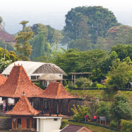 Wisata Eduherbal