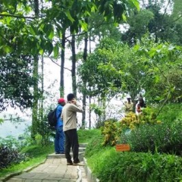 Tiga Jamu Saintifik Siap Diluncurkan