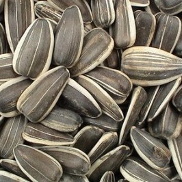 Jaga Kecantikan Dengan Kuaci