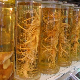 Khasiat Ginseng Merah