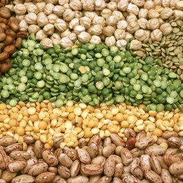 Tren Nutrisi Tahun 2016