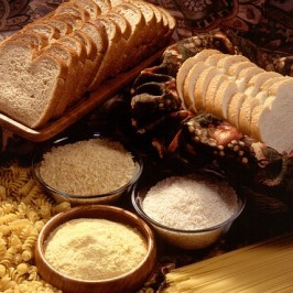 Pilih Nasi atau Roti?